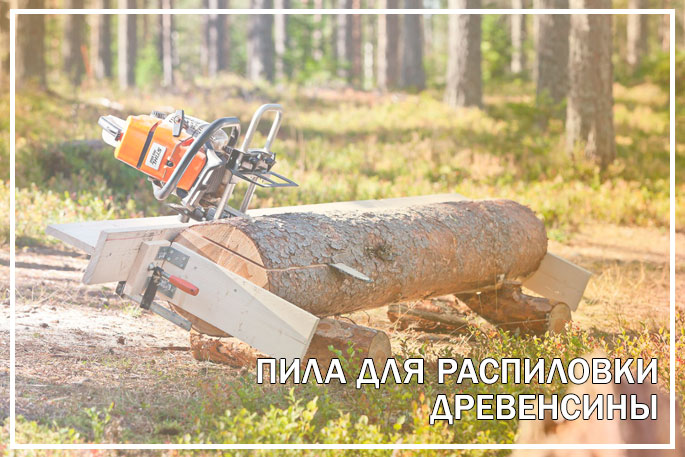 Подбираем пилу для продольной распилки Подбираем пилу для продольной распилки