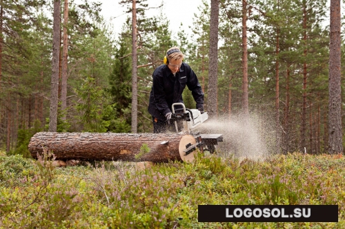 Logosol БигМил Базовая | Официальный дистрибьютор Logosol