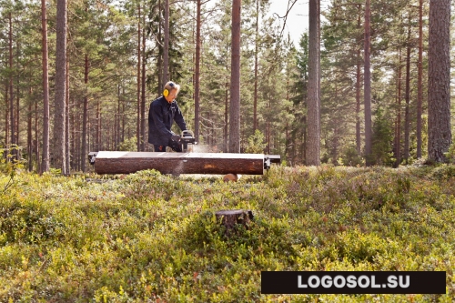 Logosol БигМил Базовая | Официальный дистрибьютор Logosol