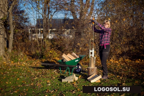 Дровокол Smart | Официальный дистрибьютор Logosol